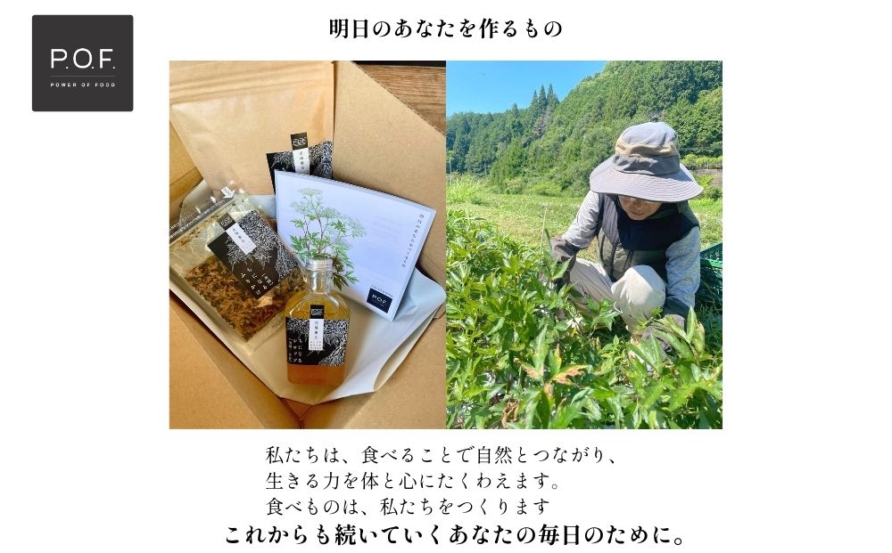 大和当帰葉商品「ちになるシリーズ」温活セット ／POWER OF FOOD ふるさと納税 生姜 シロップ 瓶 ガラス瓶 国産 食材 炭酸 大和当帰葉 有機 お湯割り 甜菜糖 ハチミツ ふりかけ お茶 ご飯 はちみつ 送料無料 ち 奈良県 宇陀市