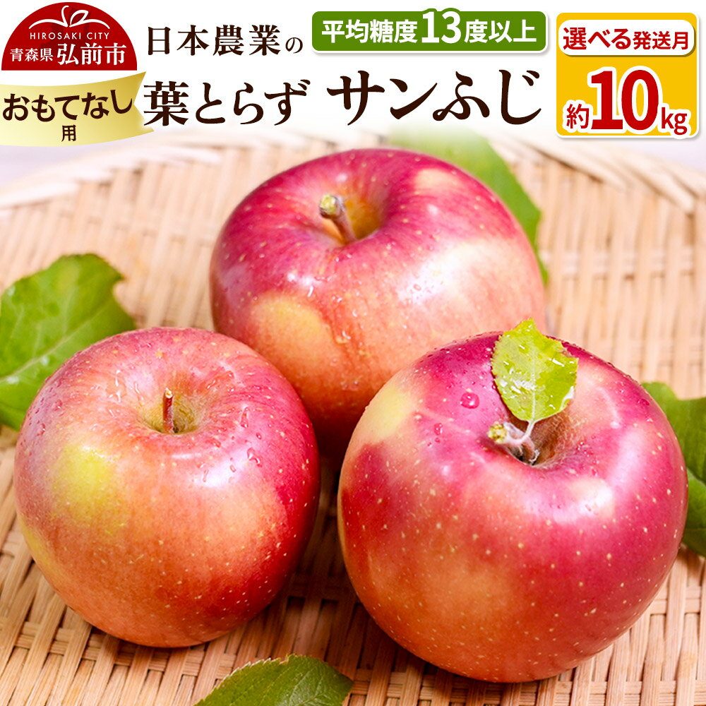 【ふるさと納税】りんご 【先行受付】平均糖度13度以上！ 葉とらずサンふじ 約10kg おもてなし用【選べる発送月】