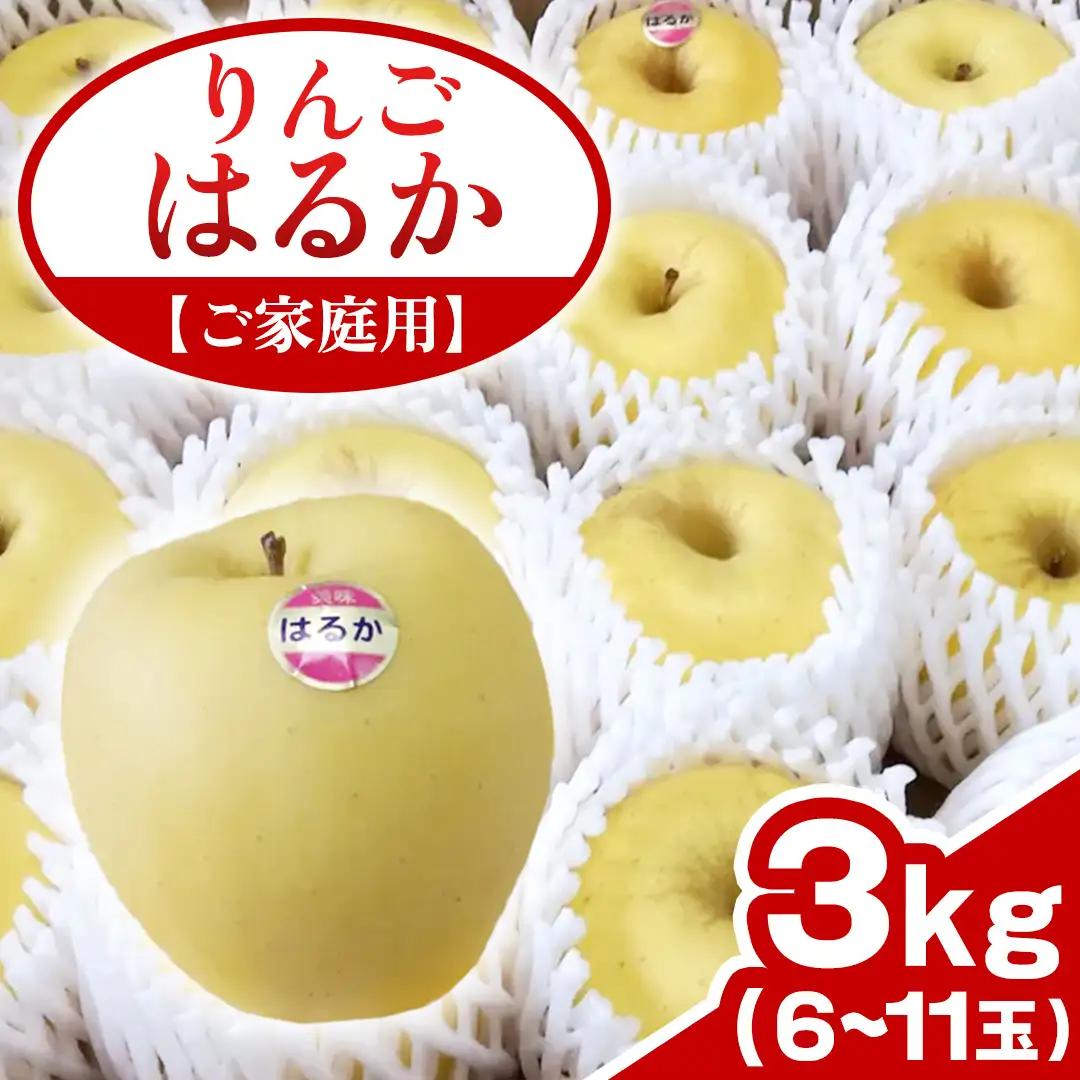 【ご家庭用】りんご はるか 約3kg (6～11玉) (FH003)
