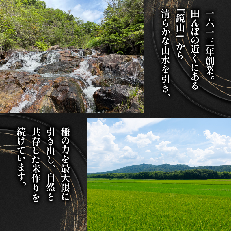 令和6年産 新米 【定期便】 ミルキークイーン5kg×6ヶ月