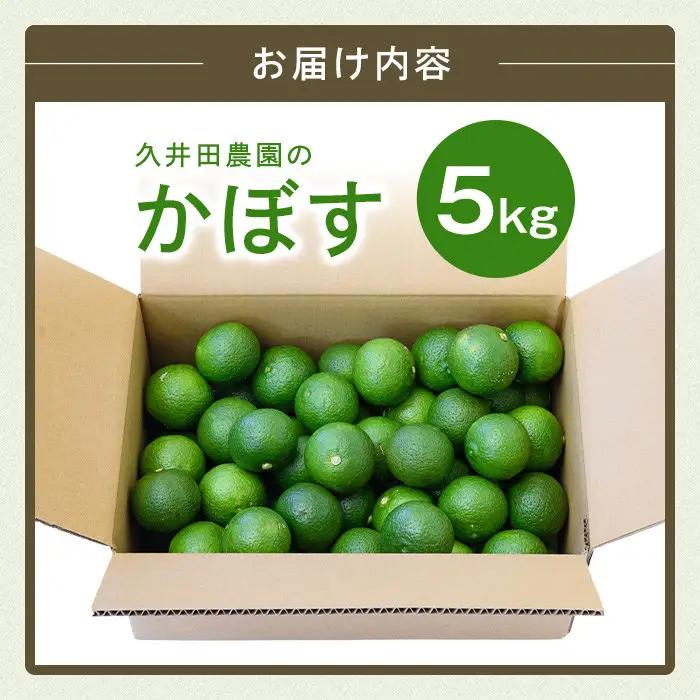 ＜先行予約受付中！2026年8月上旬以降順次発送予定＞かぼす(5kg)柑橘 かんきつ 大分県産直【112600100】【ａｎｄＫ】