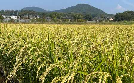 【数量限定】ぬか醤　200cc【株式会社 夢アグリ】[ZCL013]