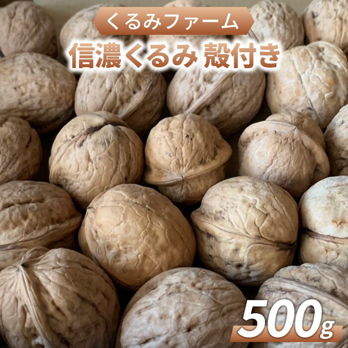 【ふるさと納税】信濃くるみ（殻付き）500g｜くるみファーム 長野県産