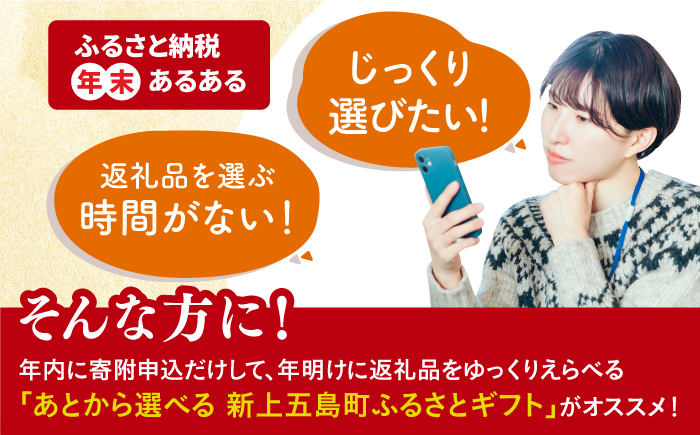 【あとから選べる】新上五島町ふるさとギフト 20万円分 和牛 五島うどん 鮮魚 海産物 年内発送 年内配送 あとから寄附 あとからギフト あとからセレクト 選べる寄付 選べるギフト あとから選べる 2