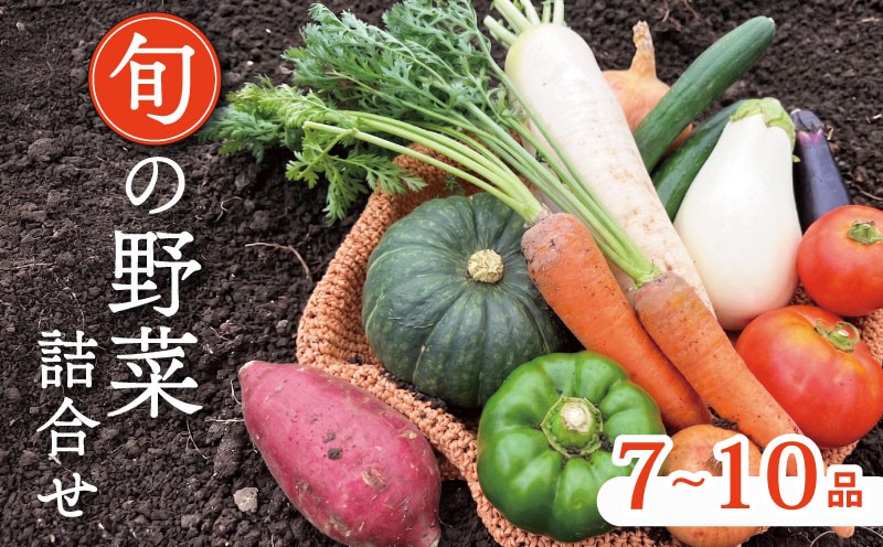
                  野菜セット 7~10種 スペシャルコース 京野菜セット 野菜詰め合わせ 京野菜 野菜 やさい 冷蔵 セット 季節 旬 自然 詰合せ おまかせ 鍋 鍋セット 希少 新鮮 春野菜 夏野菜 秋野菜 冬野菜 人気 ランキング お取り寄せ ふるさと納税 京都 京都府
                