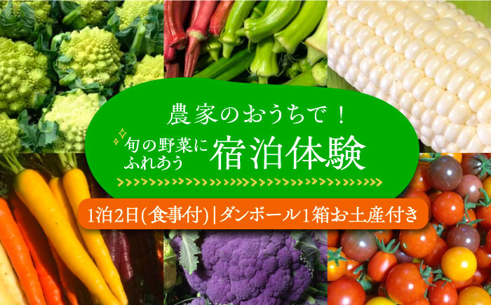 
農家のおうちで宿泊体験！！旬の野菜にふれあおう１泊２日 食事付《豊前市》【田村農産】体験　宿泊　観光 [VBE007]
