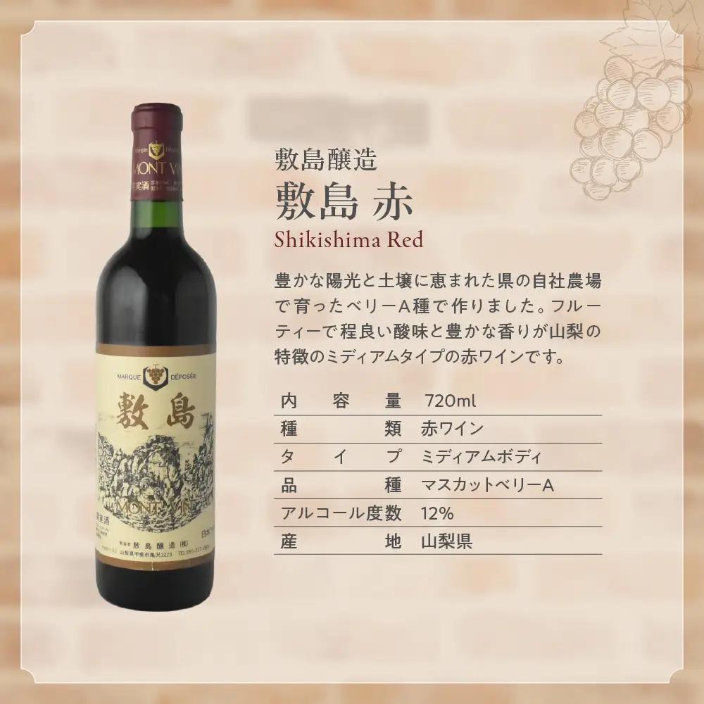 赤ワイン飲み比べ3本セット 山梨  ワイン 赤ワイン 