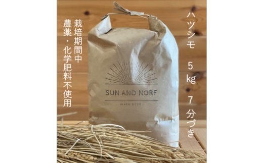 【令和7年産】初霜(原種)　7分づき5kg　(栽培期間中農薬・化学肥料不使用)【1721470】