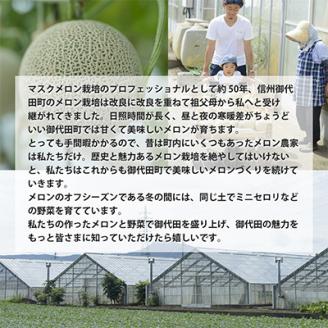 【令和6年度産先行受付】星と蜂のメロン　Mサイズ2玉【配送不可地域：離島】