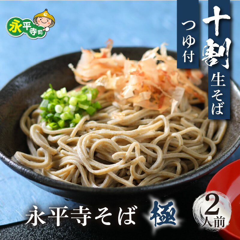【ふるさと納税】＼レビューキャンペーン中！／相席食堂で放送10.22【 越前そば 】 永平寺そば極 手打ち 十割 冷凍 生そば （ つゆ付き ）国産 永平寺町 越前 蕎麦 麺類 めん 贈答 ギフト ご当地 お試し 送料無料