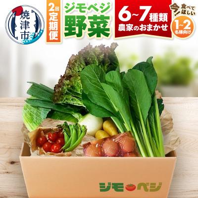 ふるさと納税 焼津市 【定期便 全2回】ジモベジ 野菜 ハーフセット(a15-677)