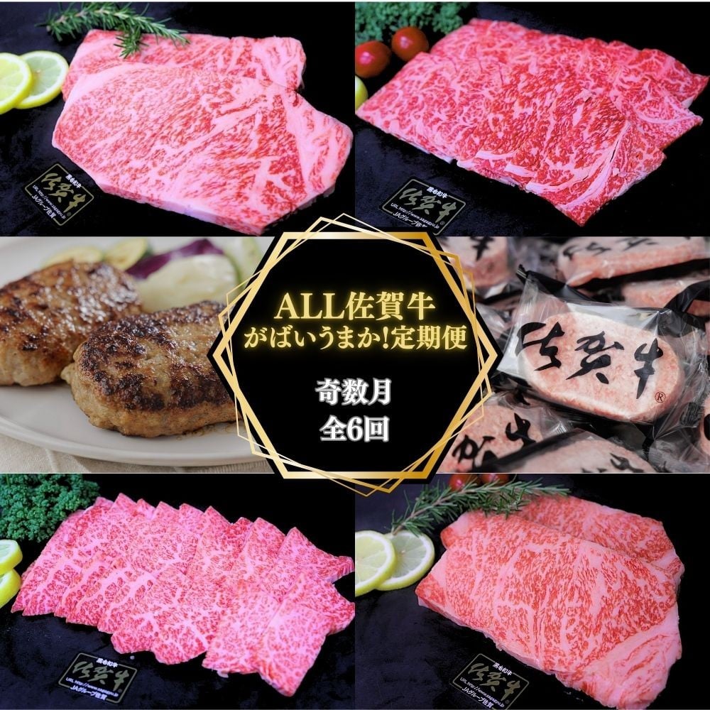 
            【奇数月に計６回】ALL 佐賀牛 がばいうまか 定期便 999-J1388
          