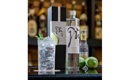 道後ジン・リモンチェッロセット おすすめ 人気 ギフト 酒 セット 愛媛県 松山市（GL-200）【MG025_x】