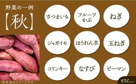 【全3回定期便】農家が選ぶ！ 旬の新鮮野菜セット[VBE008]産直 野菜 やさい 詰め合わせ