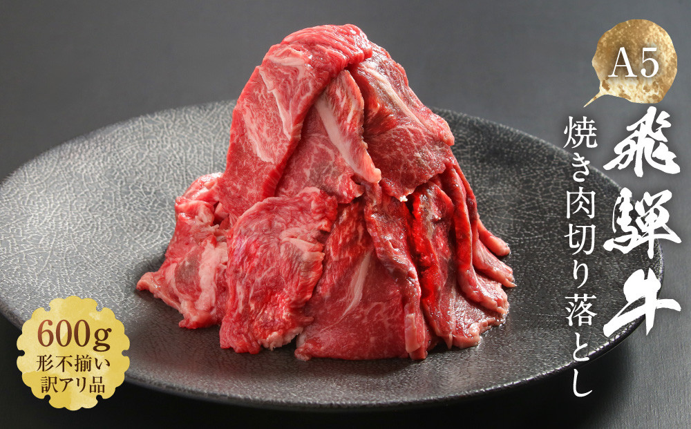 訳あり A5等級 飛騨牛 焼肉 切り落とし600g | A5ランク 切り落とし 牛肉 肉 和牛 黒毛和牛 焼き肉 BBQ キャンプ 肉料理 ブランド牛 不揃い 人気 国産 お取り寄せ グルメ おすすめ  株式会社岩ト屋 HF040
