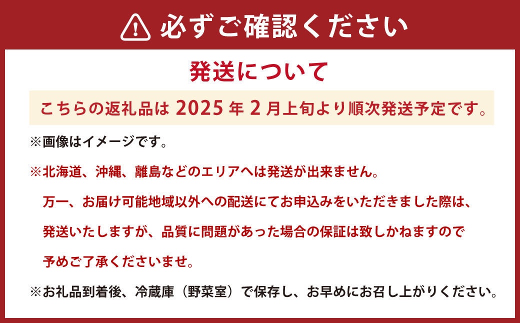 熊本県産 さがほのか 約2kg いちご 苺 イチゴ