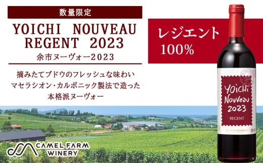 
                  ヨイチヌーヴォーレジェント2023<キャメルファーム> 国産 キャメル カルディ おすすめワイン 余市のワイン 北海道のワイン 日本のワイン 北海道 余市町
                