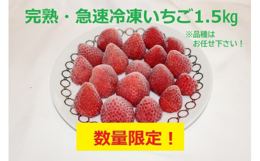 
増量しました！【千葉県君津市　渡邉いちご園】　完熟・急速冷凍いちご １.5㎏ （数量限定）
