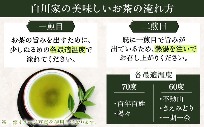 白川家特選5種類詰合せセット 計500g / お茶 日本茶 嬉野茶 緑茶 / 佐賀県 / 白川製茶園 [41AIAB001]