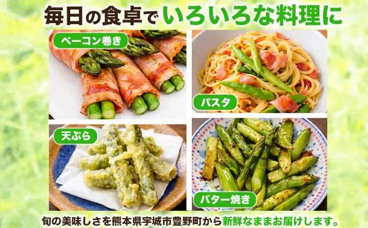  訳あり アスパラガス  約2kg (S～L) 【2026年7月上旬～2026年10月中旬発送予定】