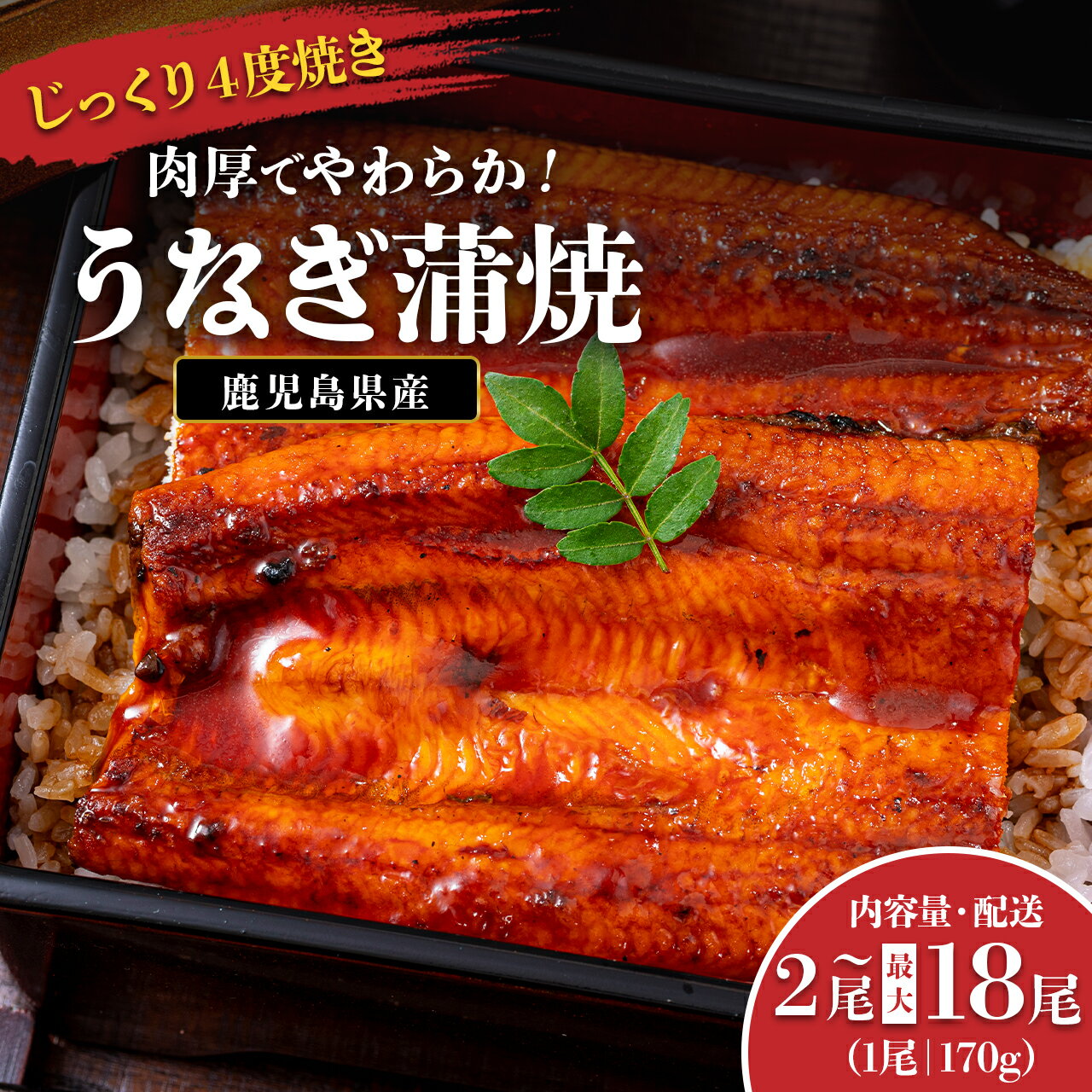 【ふるさと納税】うなぎ 鰻 うなぎ蒲焼 選べる 内容量 配送 ( 1尾あたり 170g ) | ふるさと納税 うなぎ 高級 ウナギ 鰻 国産 蒲焼 蒲焼き たれ 鹿児島 大隅 大崎町 ふるさと 人気 送料無料
