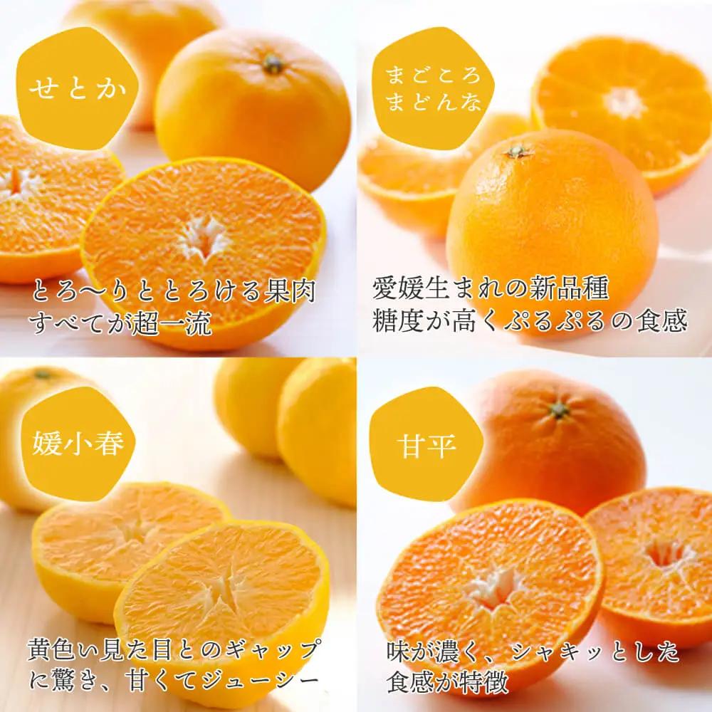 ミヤモトオレンジガーデンの「愛媛の希少かんきつジュース・ゼリー詰め合わせセット」【D25-85】YWTAP045