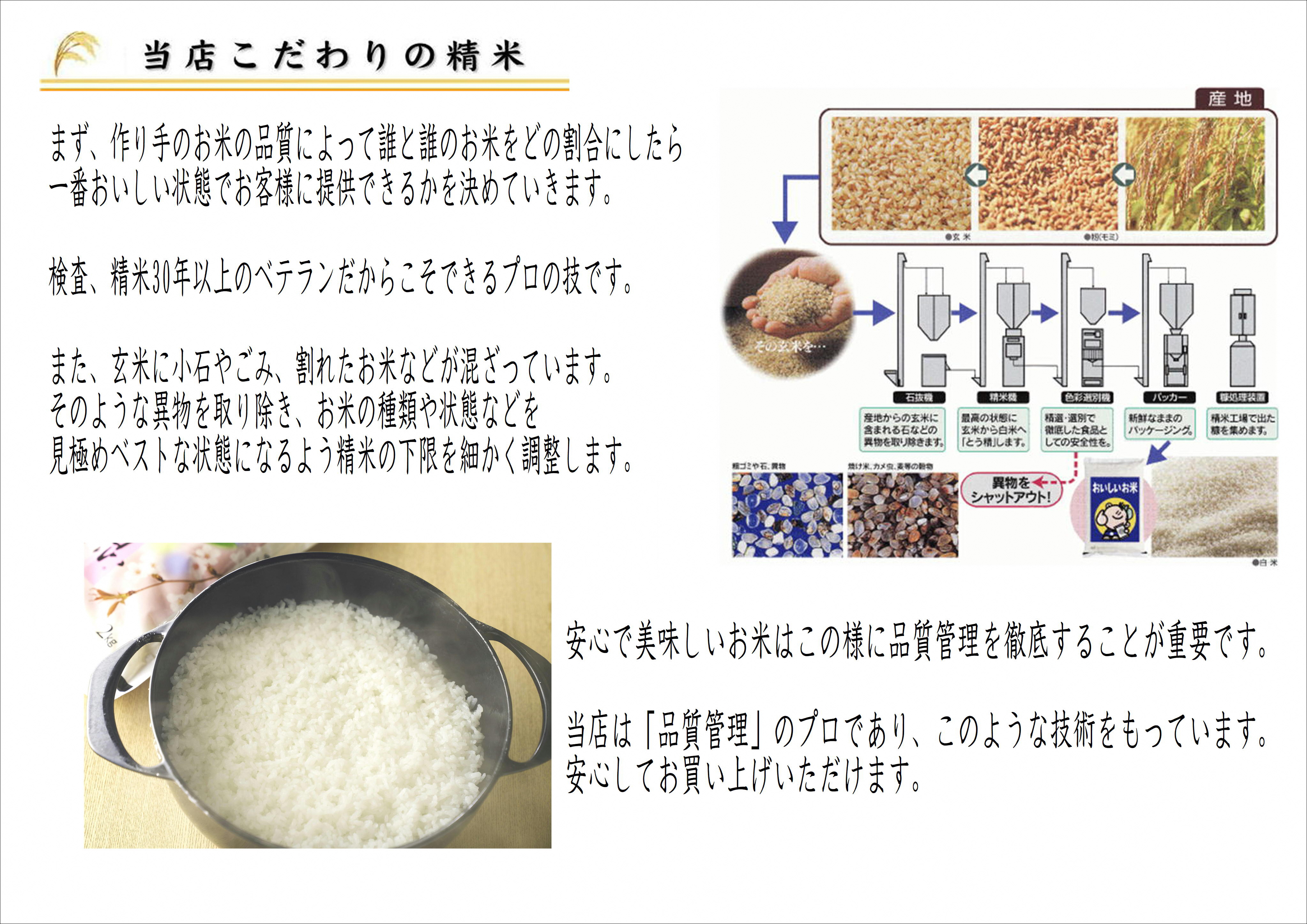 お米マイスターいち押し！！【令和7年産】新潟産こしいぶき 5kg コシヒカリの美味しさを受け継ぐ 白米 精米 コシヒカリ系 早生品種 米 ごはん ライス ブランド米 お米マイスター 井上米穀店 1I2