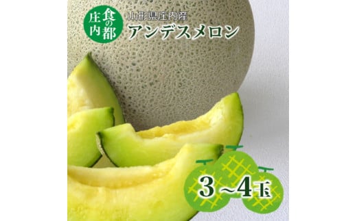 【先行予約】食の都庄内【令和7年産】アンデスメロン　3～4玉※令和7年7月上旬頃より発送予定