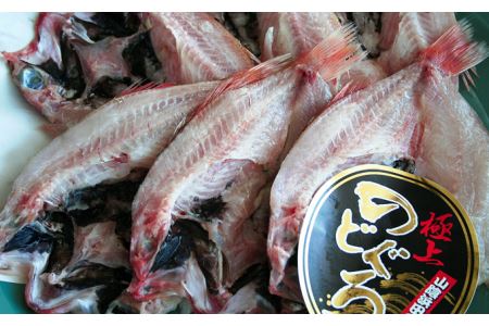 干さない干物極上のどぐろ Fセット 魚介類 魚貝類 魚 干物 干もの 一夜干し 御中元 御歳暮 ギフト 新鮮 厳選 海鮮 セット 個包装 【097_0736】