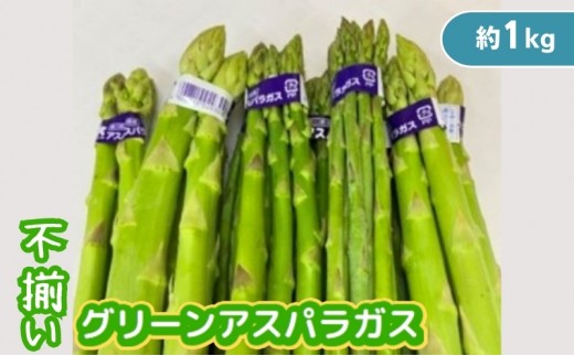 グリーンアスパラガス アスパラガス 香川県産 観音寺産 讃岐 不揃い サイズ混合 約1kg 100g × 10束 国産 サイズおまかせ シャキシャキ 甘み うま味 野菜 旬野菜 農産物 混合品 サラダ 炒め物 天ぷら 肉巻き アスパラ 香川県 観音寺市