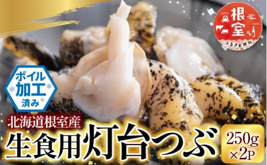 G-28040 根室海鮮市場＜直送＞【北海道根室産】生食用灯台つぶ(ボイル済)250g×2P(計500g)