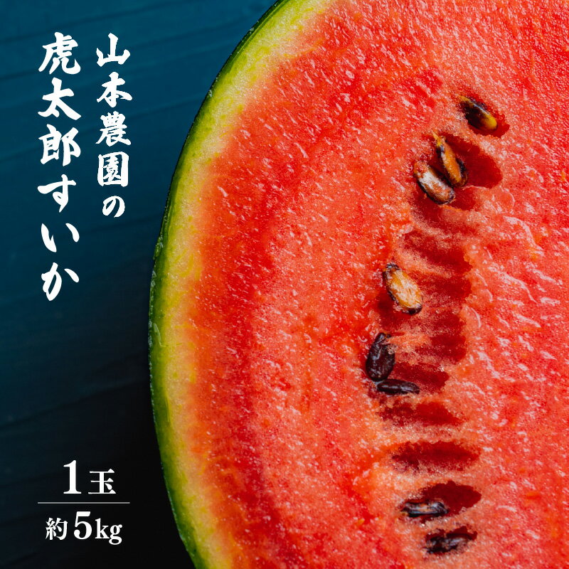 【ふるさと納税】【先行予約】甘味が強い 虎太郎すいか 約5kg 1玉 数量限定 産地直送 【2026年7月下旬より順次発送予定】【果物 フルーツ スイカ】 [e58-a003]
