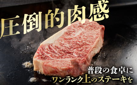 【2週間以内発送】≪訳あり≫宮崎県産黒毛和牛(経産牛)サーロインステーキ1ポンド(計450g) 肉 牛 牛肉 国産_T025-013