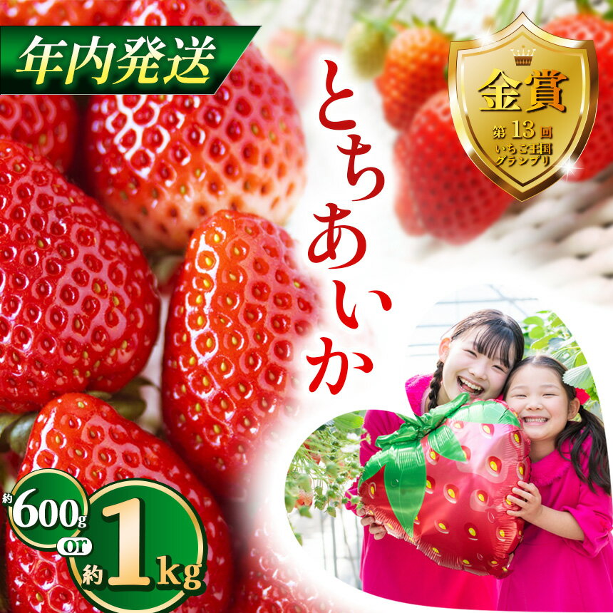 【ふるさと納税】【先行予約】【12月発送】とちあいか約600g 1kg | 送料無料 とちあいか いちご フルーツ 甘い ジューシー苺 イチゴ ハート ハート型 ハート 断面 果物 おいしい 選べる内容量 栃木県 下野市