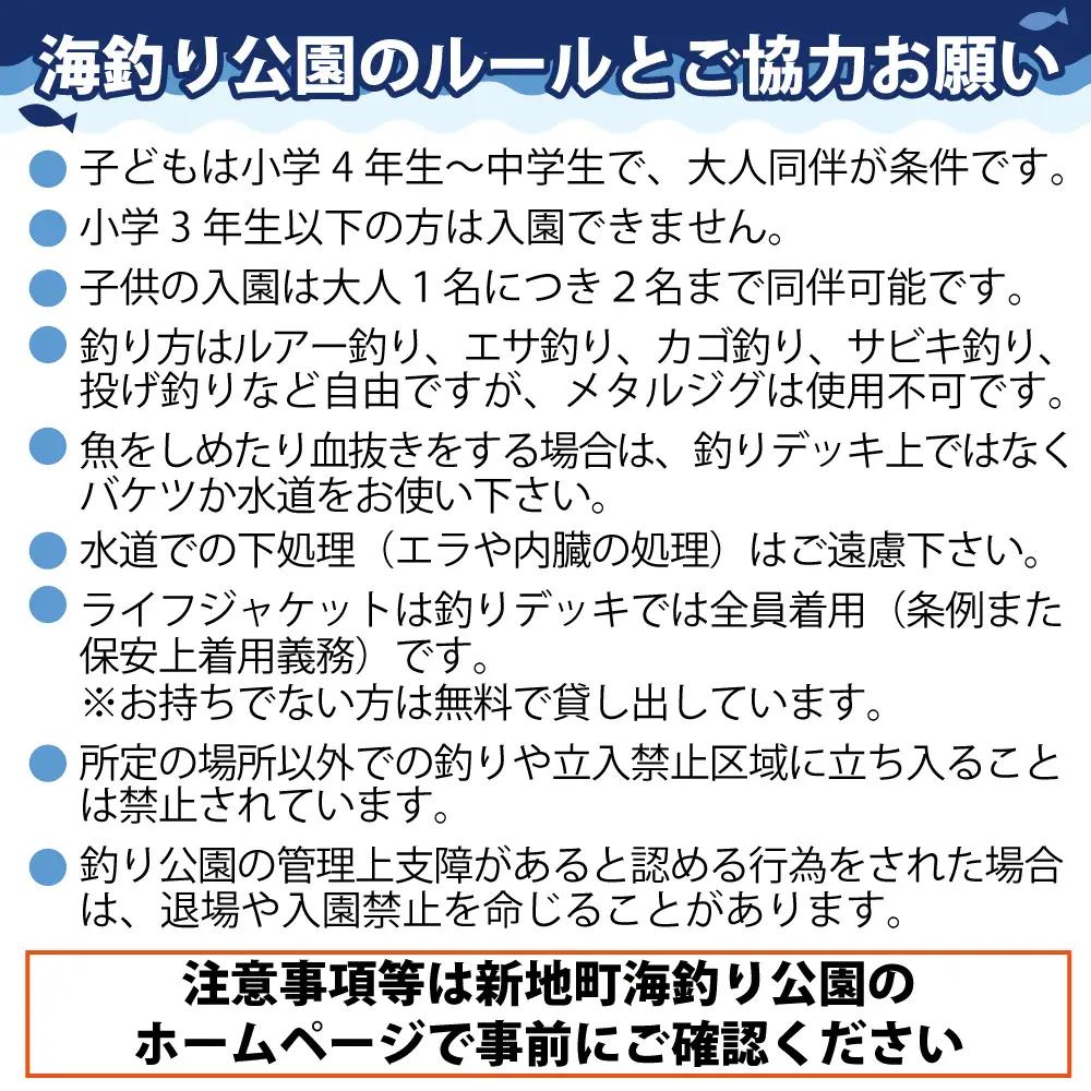 新地町海釣り公園 チケット 大人 2名 | ペア 2回 入園券 半日 海釣り 魚釣り 福島県 釣り体験 利用券 体験チケット 初心者 ファミリー アウトドア レジャー 観光 日帰り おでかけ フィッシ