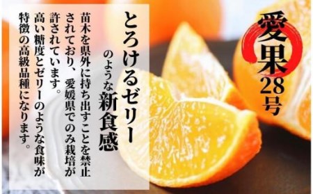 【早期予約受付中！2024年12月～順次発送】二種のみかん食べ比べ箱 愛果28号・はれひめ(良品) 約2.8kg  （愛媛 みかん 蜜柑 みかんセット 蜜柑セット 果物 みかん 蜜柑）【PT014_x