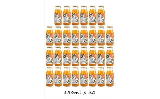 
            【定期便 （2カ月ごと全3回）】小田原産江之浦みかん１００％ストレートジュース１８０ml３０本
          
