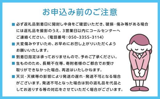 ぶどう 2024年 農家こだわりのシャインマスカット 2～3房 合計約1.2kg ブドウ 葡萄 岡山市産 国産 フルーツ 果物 【 Nini farm 農家 直送 】 [No.5220-1699]