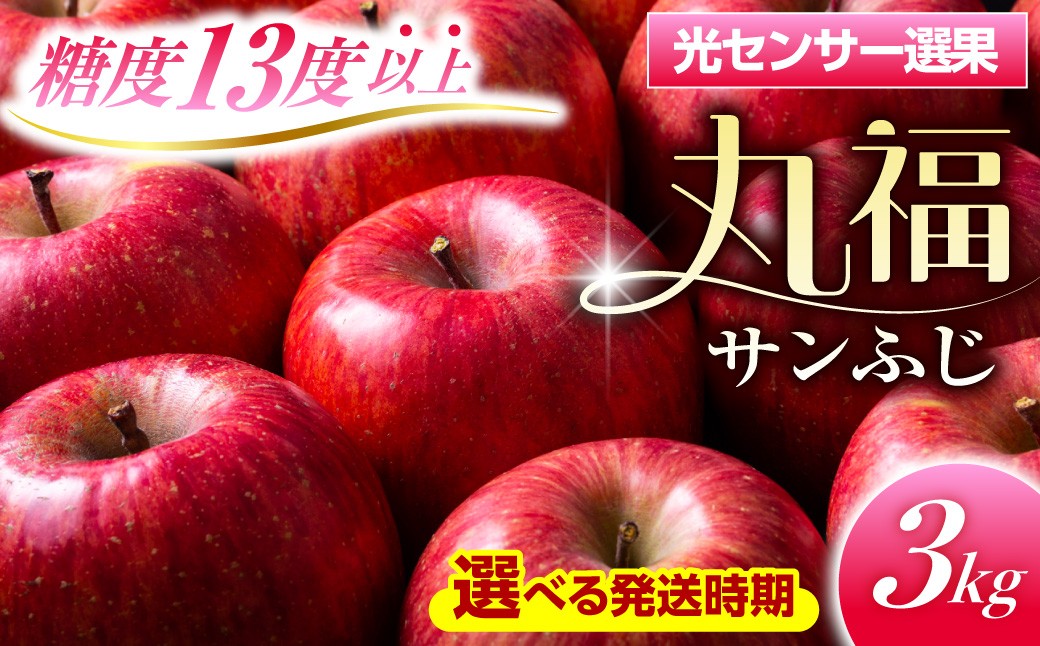 
                  【選べる配送時期】 りんご 約3kg 丸福 サンふじ 光センサー選果 糖度13度以上 青森産りんご 【11月 12月 1月 2月 3月】リンゴ 五所川原
                