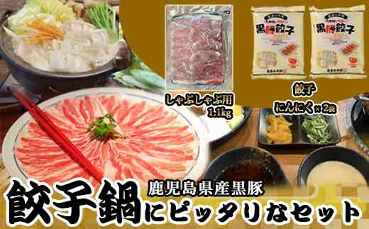 鹿児島県産黒豚 餃子鍋にピッタリなセット(にんにく)  合計約1.5kg AS-476