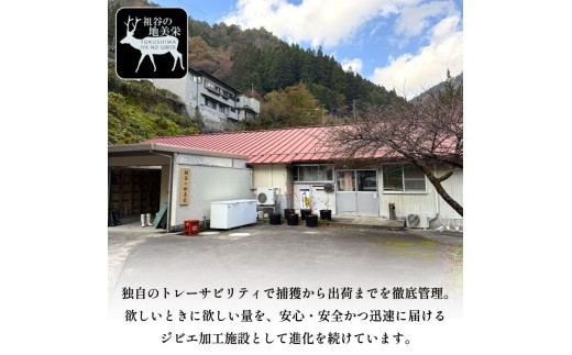 鹿肉ジャーキー 犬用 100g 2パック 1パック50g 三好市 ドリームチーム