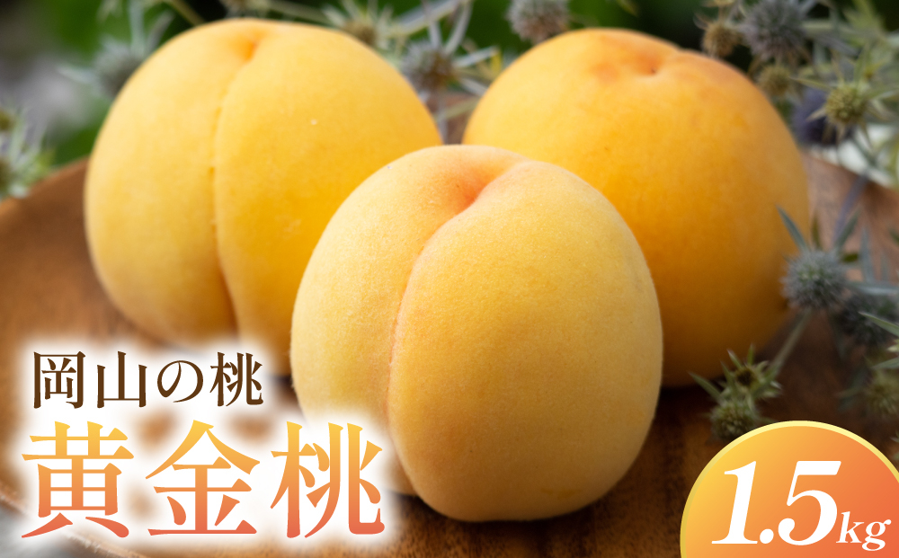 岡山県産・マンゴーの様な黄色い桃・黄金桃　1.5kg箱