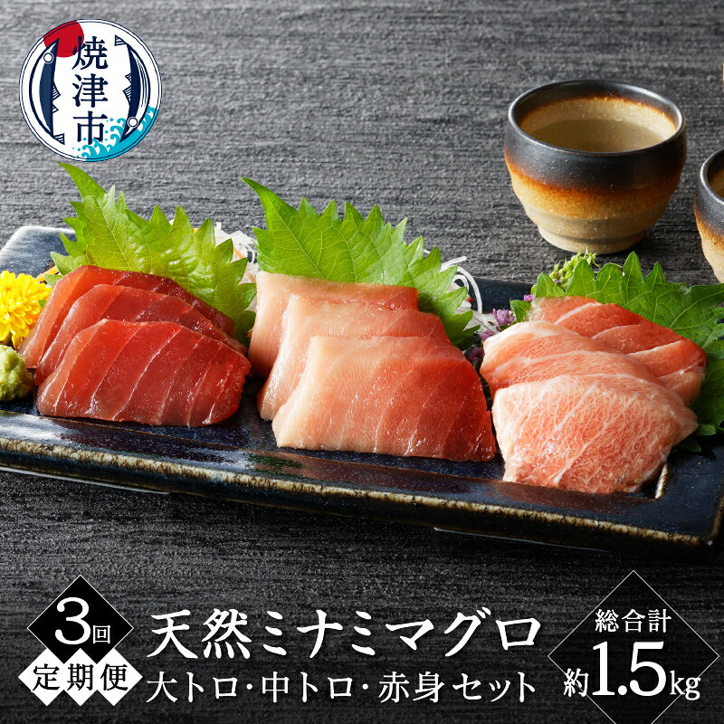 【ふるさと納税】 定期便 3回 まぐろ 天然 南鮪 大トロ 中トロ 赤身 食べ比べ 約500g セット 皮無し 柵 切り落とし 魚 焼津 a50-128
