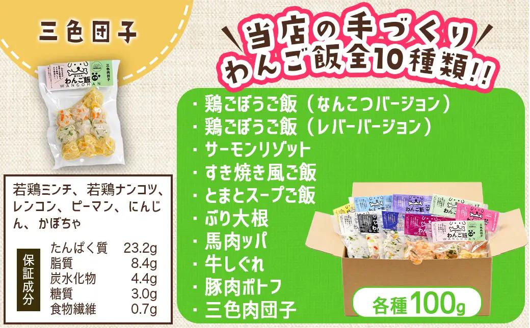 手づくり☆わんご飯『10種のわんだふるセット』_AC-J501_(都城市) 犬用 手づくりご飯 鶏ごぼうご飯 サーモンリゾット すき焼き風ご飯 とまとスープご飯 ぶり大根 馬肉ッパ 牛しぐれ等 ペット