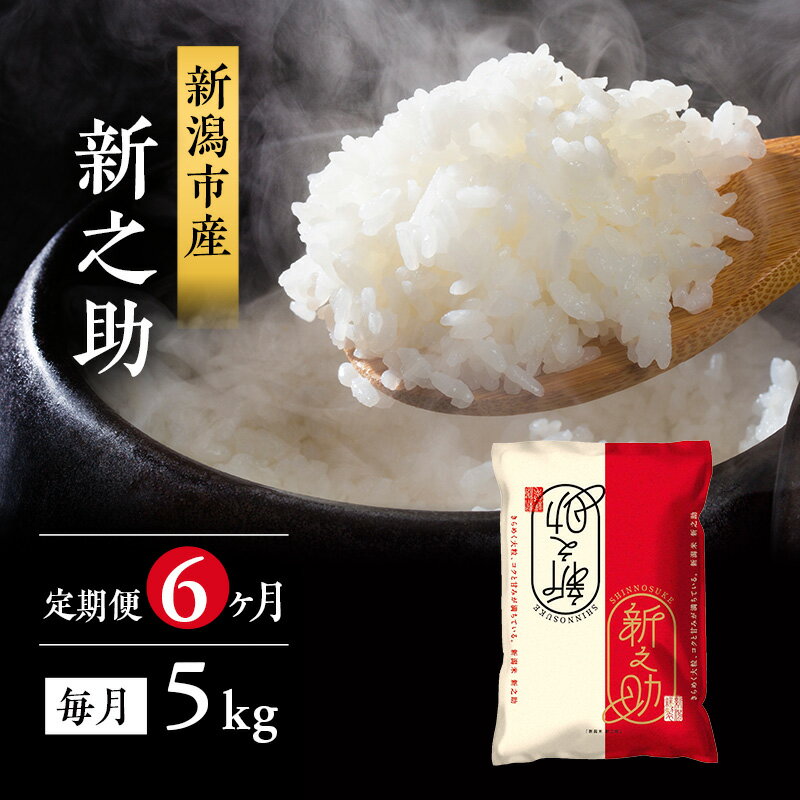 【ふるさと納税】米 6ヶ月定期便 新潟 新之助 5kg 白米 精米 1等米 精米仕立てを発送致します 新潟県産 定期便 お米 5kg こめ コメ ブランド米 6ヶ月 半年 6回 お楽しみ