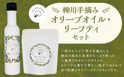 柳川 手摘み オリーブオイル 130ml・オリーブ リーフティ 24g セット お茶 ティーパック ノンカフェイン 調味料 油 オリーブ油 食用油