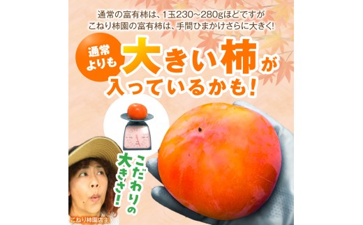 【先行受付】 富有柿 5kg こねり柿園自慢の富有柿 KNR0608