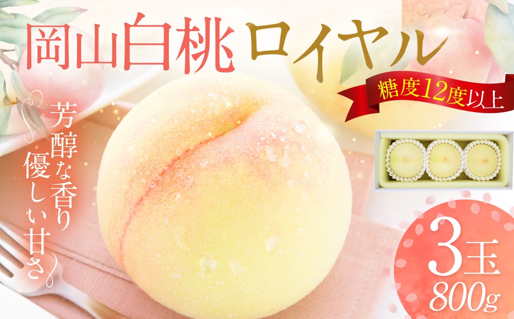 
                  岡山白桃 ロイヤル 3玉 約800g 【2026年7月上旬～7月下旬発送予定】 ／ 白桃 桃 もも モモ
                