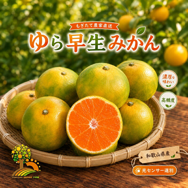 【ふるさと納税】 由良早生 みかん 家庭用 / ゆら早生 温州みかん 極早生 甘い 家庭用 和歌山 柑橘 5kg 10kg ※2026年10月上旬～11月上旬順次発送 ※北海道・沖縄・離島への配送不可 //goku