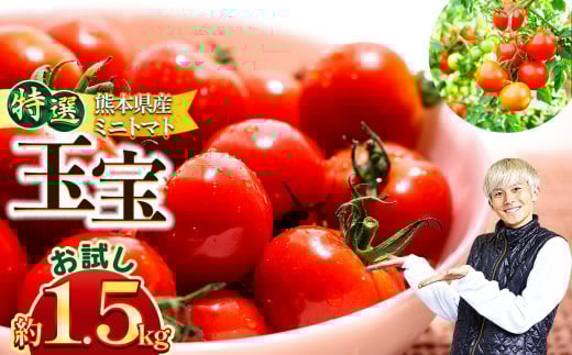 特選ミニトマト 「 玉宝 」 お試し 1.5kg | 野菜 やさい トマト ミニトマト 特選 熊本県 玉名市